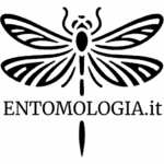 Logo Entomologia.it