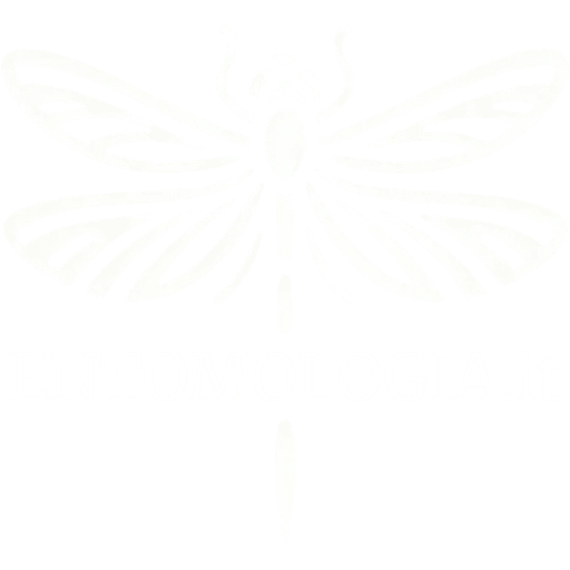 Logo Entomologia.it