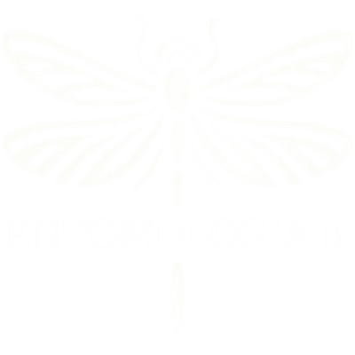Logo Entomologia.it