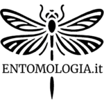 Logo Entomologia.it